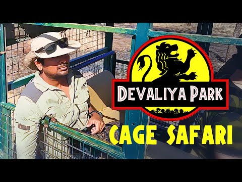 Cage Safari at Devaliya | Gir National Park, Gujarat - 4K UHD