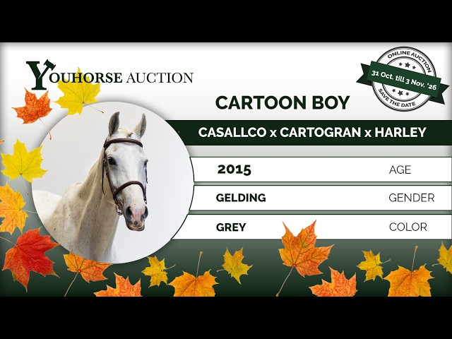 Cartoon Boy showvideo