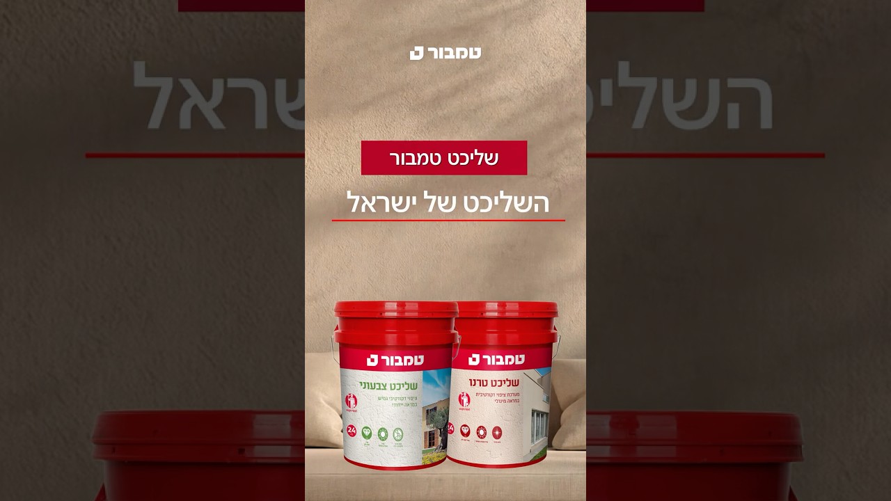 תמונת וידאו
