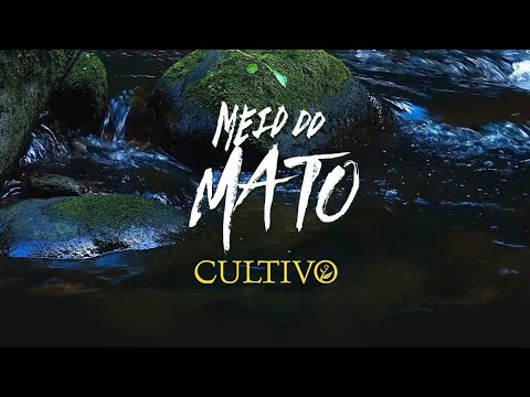 Cultivo - Meio do Mato (Vídeo Oficial)