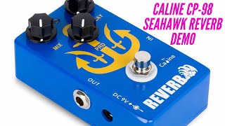 Video thumbnail for Caline CP-98 Reverb Pedal demo | Budget Gear | Giveaway Update! by Wolf Guitars and Gear