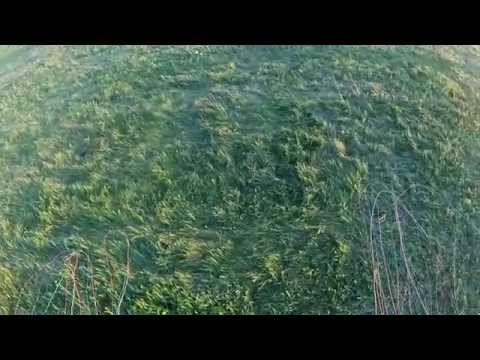Timisoara Paramotor Accuracy Landing 2014