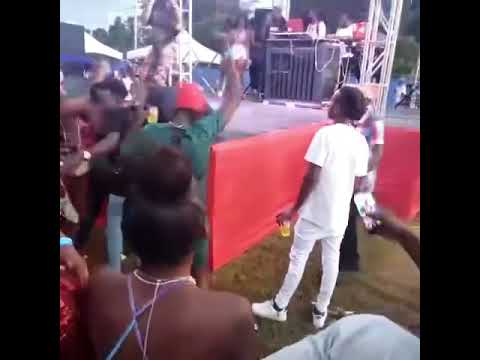 Stalk Ashley bodyguard box man off stage