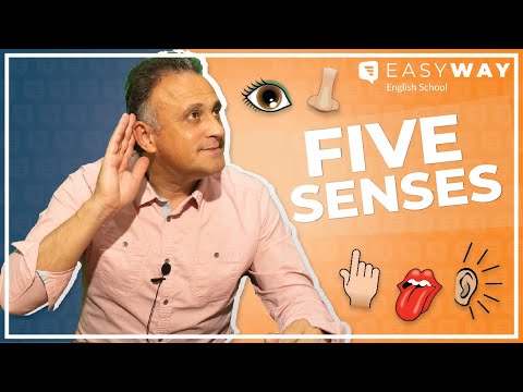 FIVE SENSES: Os cinco sentidos em inglês