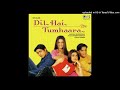 Dil Hai Tumhaara Title Song