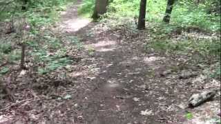 preview picture of video 'Charles River Link Trail Part 5: Wellesley Town Forest Route 9 to the Esker Trail.'