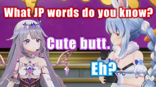 Pekora Surprised By Biboo And Nerissa During 3D Collab【Hololive】