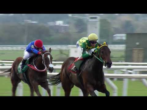 230521 C 08 - WATCH THE DOG - HIPODROMO DE MAROÑAS