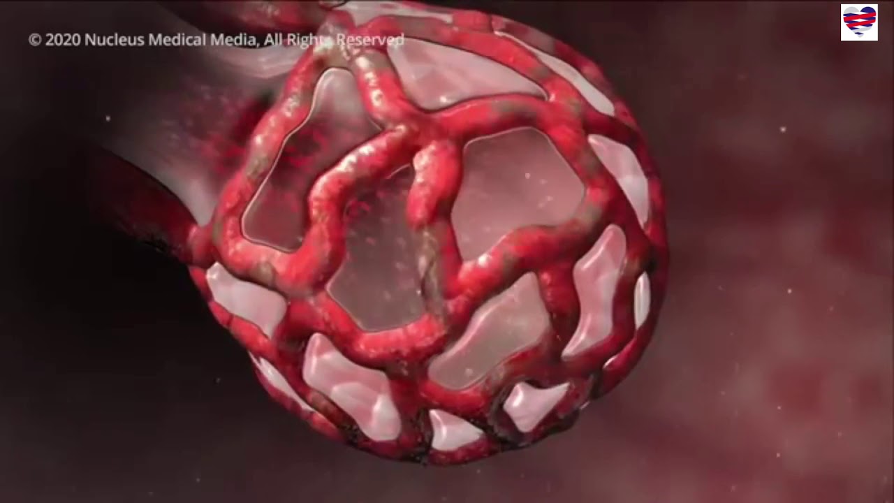 Luis Daniel Lizama Rodrí­guez-42