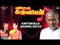 Kattukulla Kadhal Kiliye Karimedu Karuvayan Movie Ilaiyaraaja Vijayakanth Malaysia Vasudevan