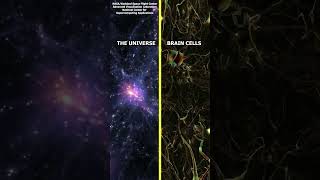 Could the universe be just another brain cell to a larger living being? #space #universe #cosmos