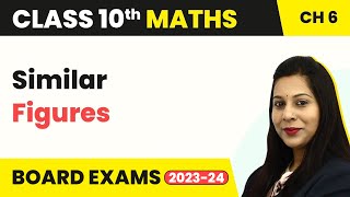 Triangles - Similar Figures | Class 10 Maths Chapter 6 | CBSE 2024
