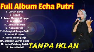 Download lagu Echa Putri Full Album Remix Menghibur Kamu Di Perjalanan mp3