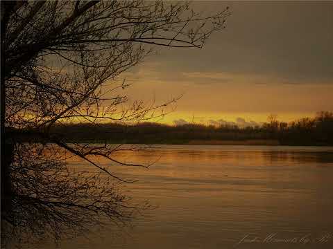 Rainer Maria Rilke ~ Über die Geduld