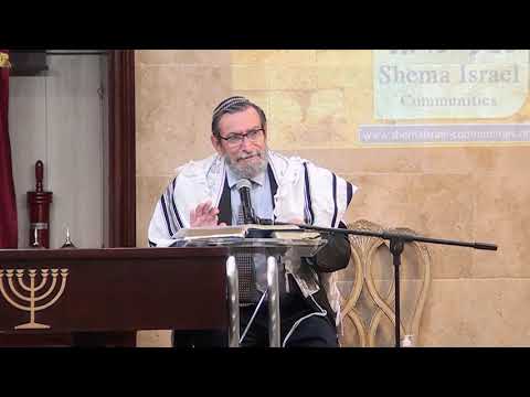 Parashat Ki Tetze 2020