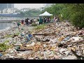 Break Free From Plastic Movement