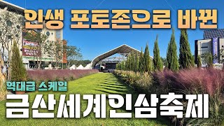 내가 알던 축제가아닌데? MZ세대까지 확 사로잡은 포토존! 금산세계인삼축제로 놀러오세요~!