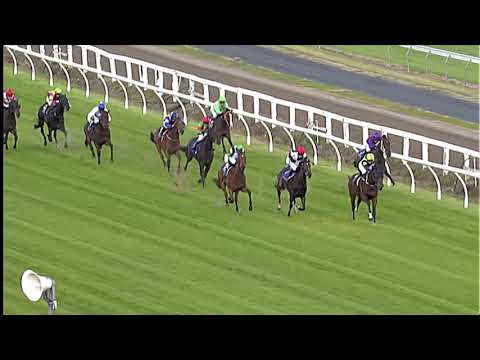 Race Replay: Te Rapa Race 2 - 27 April