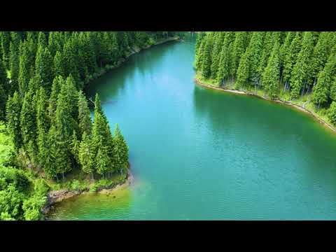 Moonlight - I follow rivers (feat dayana)