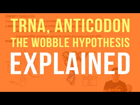 tRNA, Anticodons, and The Wobble Hypothesis