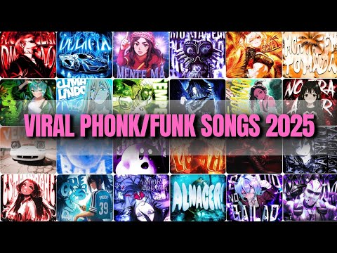 PhonkVibesBR Ltda and PhonkVibesBR