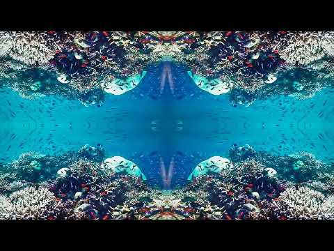 Alan Steward x Mantar Vision – 2009 Lost Track Resurfaces!