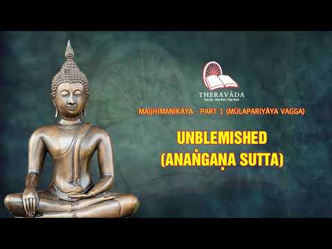 9. Unblemished (Anaṅgaṇa Sutta) | Majjhimanikāya - Part 1 (MŪLAPARIYĀYA VAGGA)