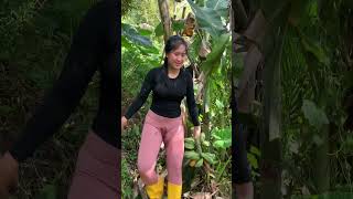 Download lagu mengambil buah pisang mp3