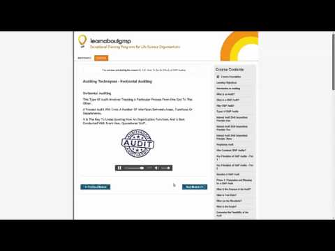 Difference Between Horizontal & Vertical Auditing