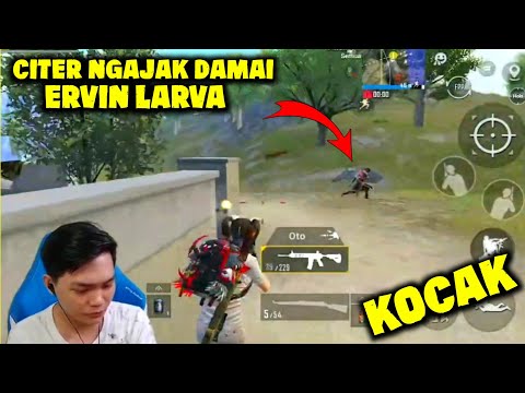 Ervin Larva di ajak damai sama citer - PUBG MOBILE INDONESIA
