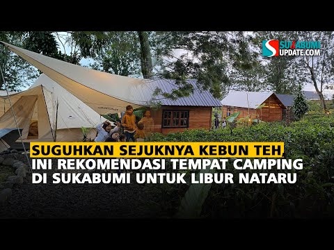 Suguhkan Sejuknya Kebun Teh, Ini Rekomendasi Tempat Camping di Sukabumi untuk Libur Nataru