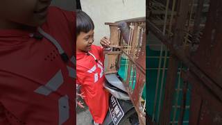 Download lagu Burungnya langsung dilepas al #merpatiku #burungmerpati #burungdara #alfattahchannel mp3 Download lagu Burungnya langsung dilepas al #merpatiku #burungmerpati #burungdara #alfattahchannel mp3