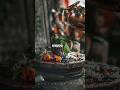 Bhola Mere ‍ ️ Bagad Bam Bam Status Jai Shree Ram Jai Hanuman Ji Jai Shiv Shankar