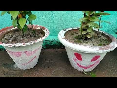 Day 57#scenary #planyer