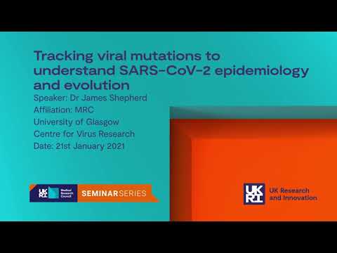 Tracking viral mutations to understand SARS-CoV-2 epidemiology and evolution