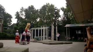 preview picture of video 'Lion dance @Huang Fei Hong Memorial Museum'