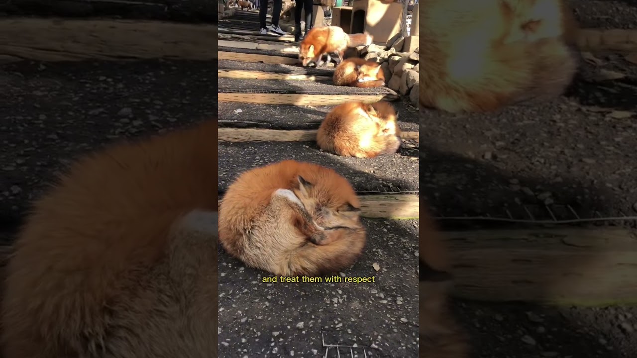 YouTube Short thumbnail