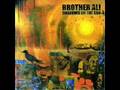 Brother Ali - Win some lose some 