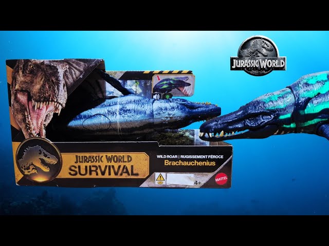 Vídeo relacionado con Mattel Jurassic World Wild Roar Figura de Dinosaurio Brachauchenius