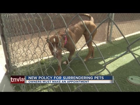 New policy in place for surrendered pets