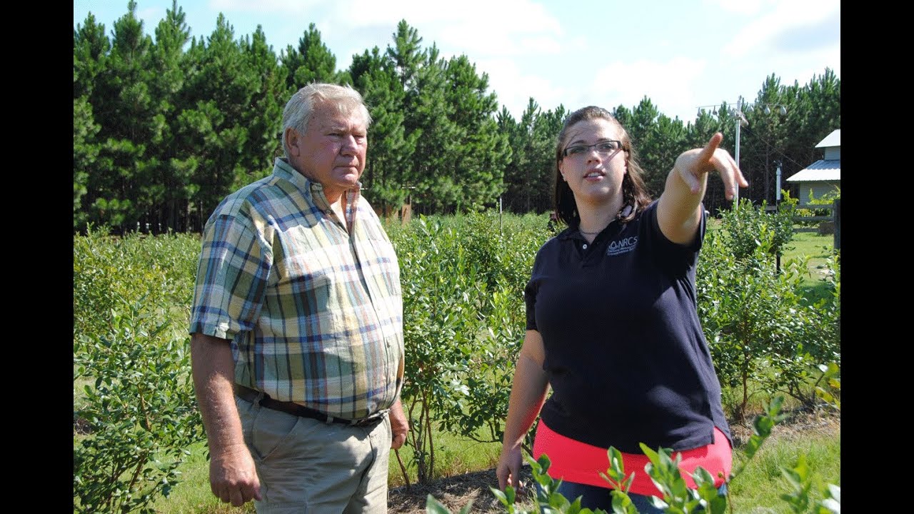 A Perfect Fit | The Pathways Internship Program is Great for Students