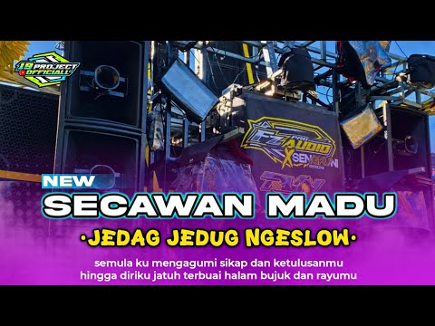 DJ SECAWAN MADU TERBARU VIRAL TIKTOK ‼️ STYLE JEDAG JEDUG NGESLOW || 19 PROJECT OFFICIALL