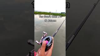 Download lagu reel dc 10jt vs bc 200k sound #fishing #mancing #shorts #versus #lucu #komedi #funny #casting mp3