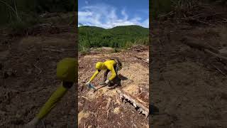 FAQ #36: Do you work during the winter? #trees #treeplanting #treeplanter #planttrees #plantingtrees