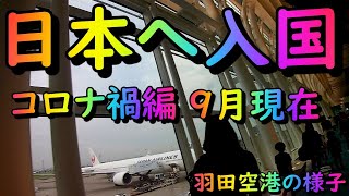 日本へ入国、一時帰国した時の羽田の様子