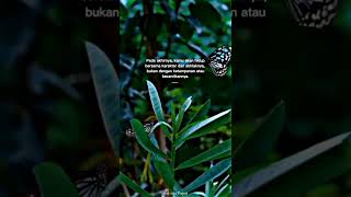 Download lagu STORY WA 30 DETIK || STORY WA KEREN || STORY WHATSAPP mp3