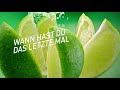 SchÃ¼tteln, Trinken, Startklar: Entdecke die neue Actimel Sorte Limette-Ingwer-Yuzu!