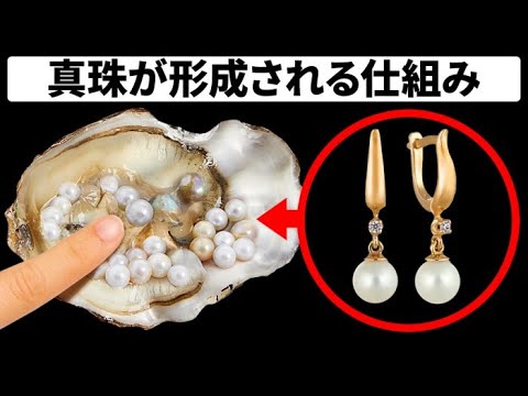 ディクストラ真珠について詳しく解説