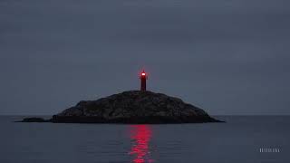 The Smashing Pumpkins-Snail-Lyrics-和訳