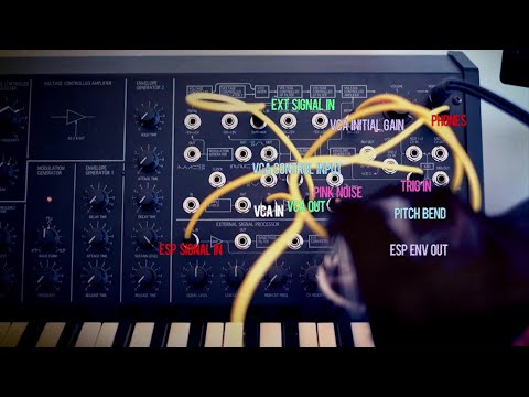 New Adventures in K7 #3 : How to Process Drums with MS20 Filter w/ Cat